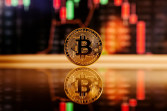 Ketika Harga Bitcoin Turun Separuh, Data Blockchain Justru Menunjukkan Hal Menarik