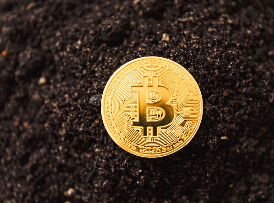 Prediksi Harga Bitcoin 2024: Bisa Menembus Rp 2 miliar Menurut Analisis Pantera Capital