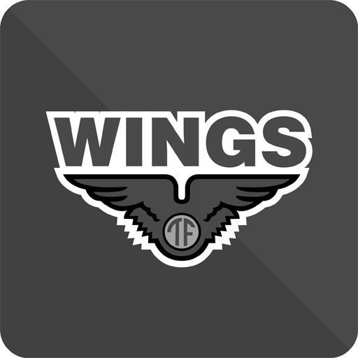 Profile of the Founders of Wings Group