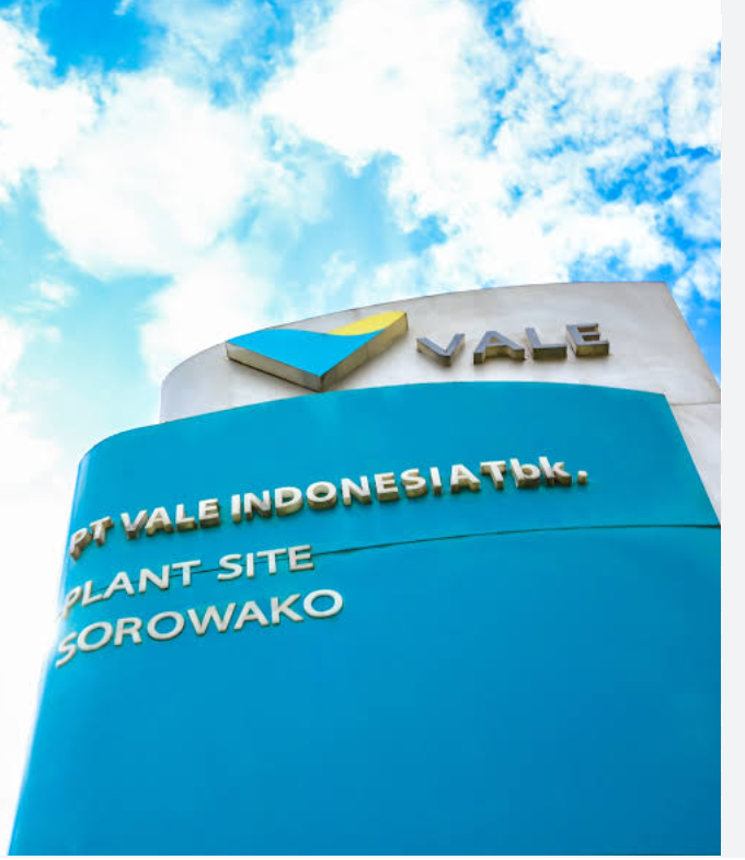 Mengungkap Biaya Eksplorasi Vale dalam Tiga Bulan Terakhir