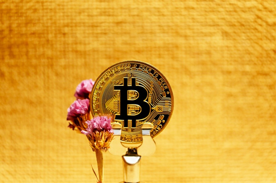 South Dakota, Negara Bagian AS yang Siap Longgarkan Aturan Main Bitcoin
